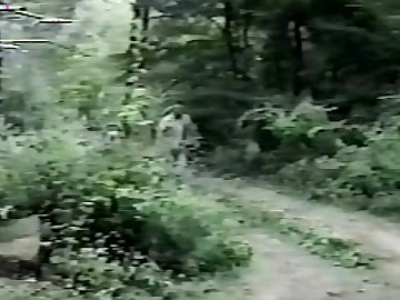 Japanese vintage well-pleased pellicle