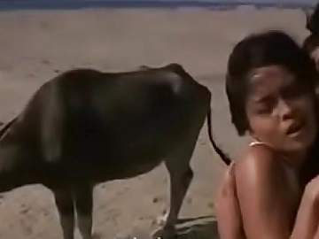 Sex desolate in all directions